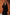 Wool Coat