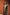 Wool Coat