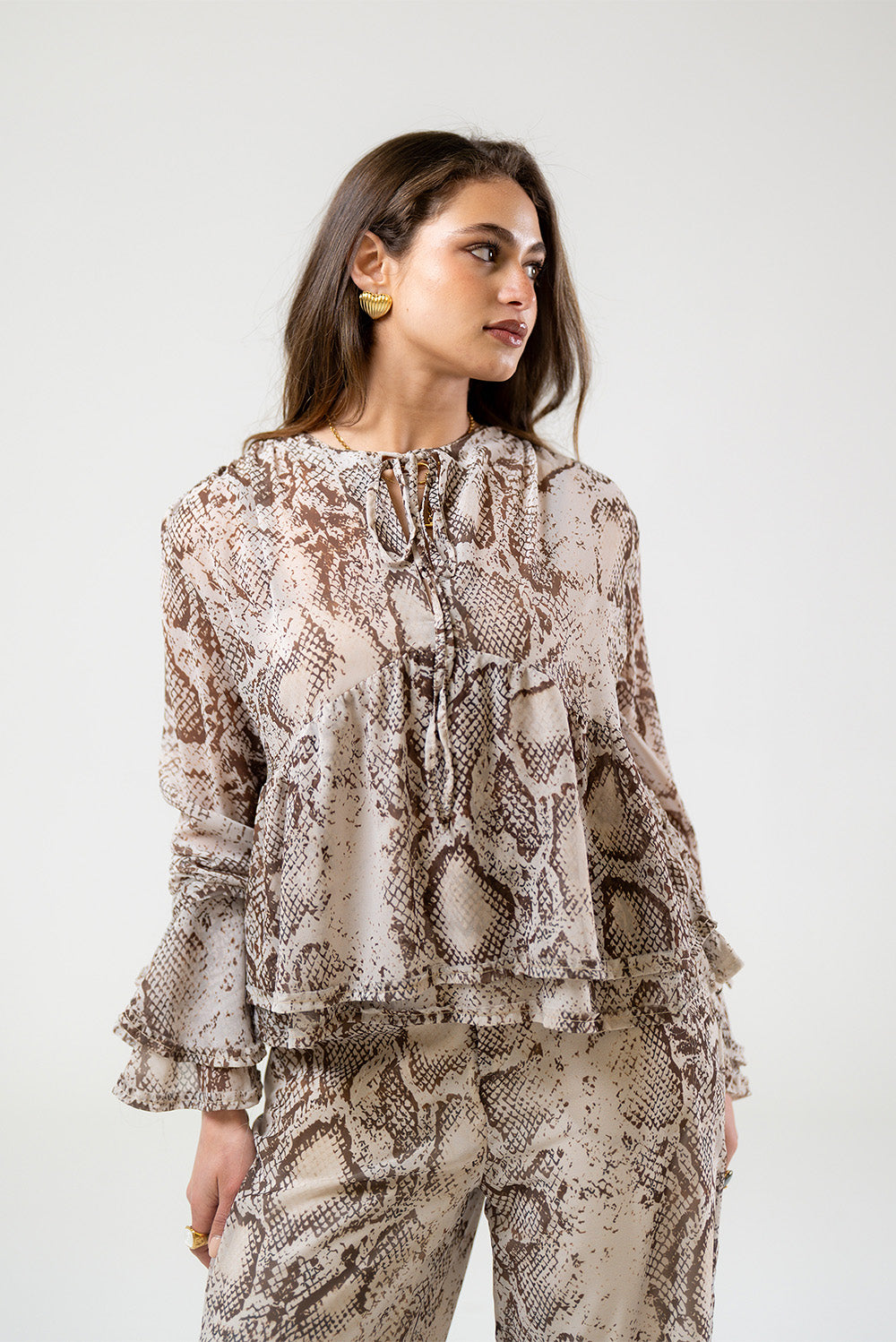 The Chiffon Blouse