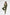 Straight-Leg Trousers